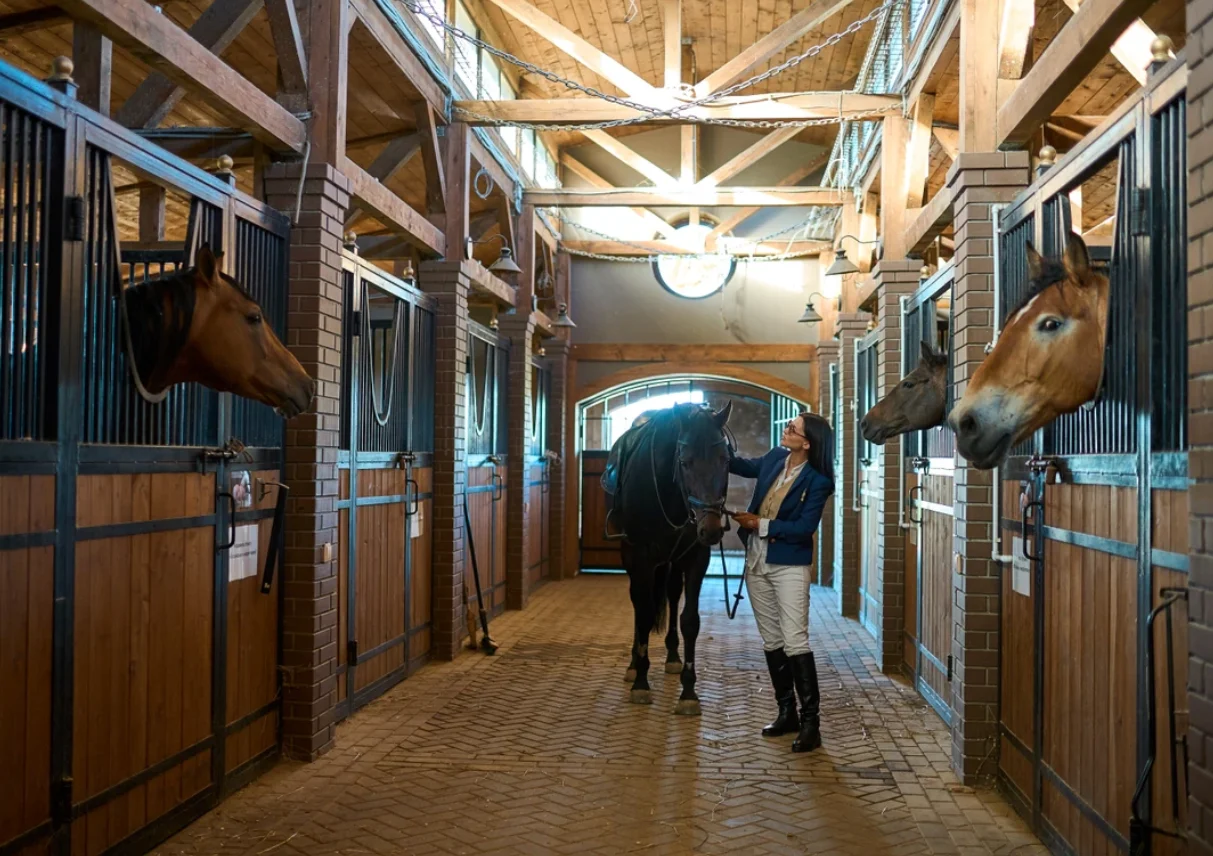 Фото Экоранчо - отдых на ферме в Алексеевке - развлечение в Москве | Досугатор